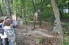 dsc_0029-800_t1.jpg