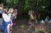 dsc_0044-800_t1.jpg