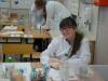 dsc03765-800_t1.jpg
