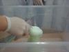 dsc03825-800_t1.jpg