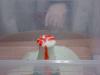 dsc03827-800_t1.jpg