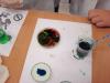 dsc03854-800_t1.jpg