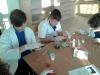 projekt_dalej_13-800_t1.jpg