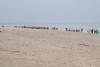 _mg_8813_t1.jpg