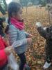 img_20191025_112308-800_t1.jpg