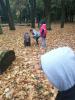 img_20191025_112443-800_t1.jpg