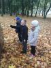 img_20191025_112608-800_t1.jpg