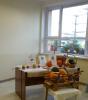 dsc07325-800_t1.jpg