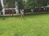 img_20210518_114354_t1.jpg