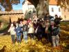 dsc08542-800_t1.jpg