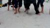 dsc01797-800_t1.jpg